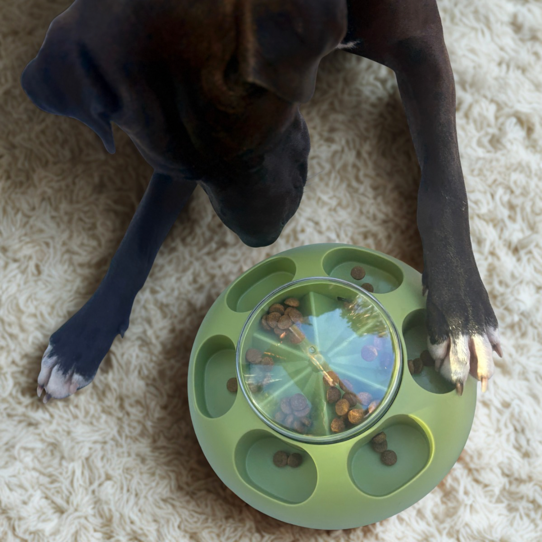 Paw-Activated Treat Puzzle 🐾