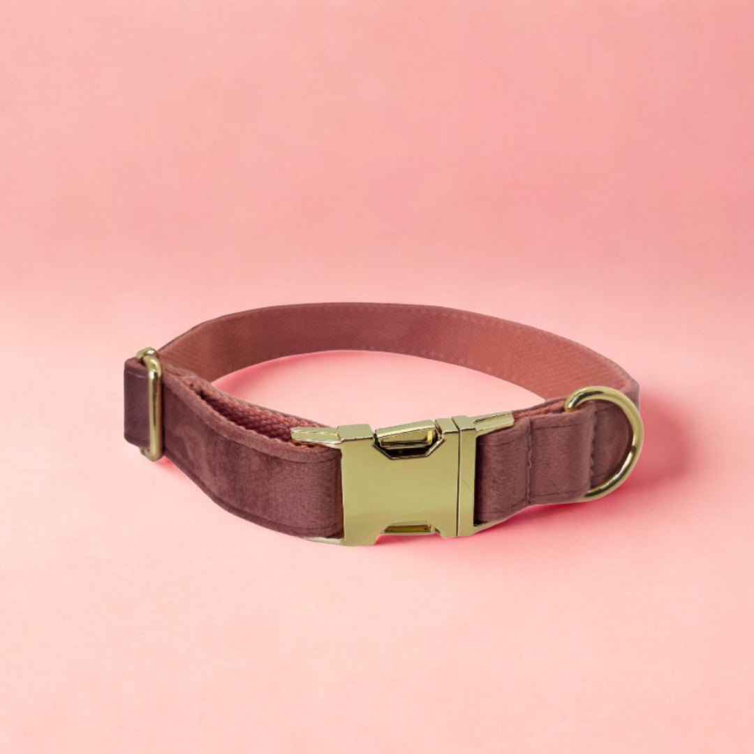 Where elegance meets comfort — in every collar