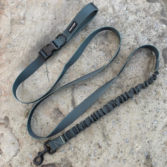 Bungee Dog Lead