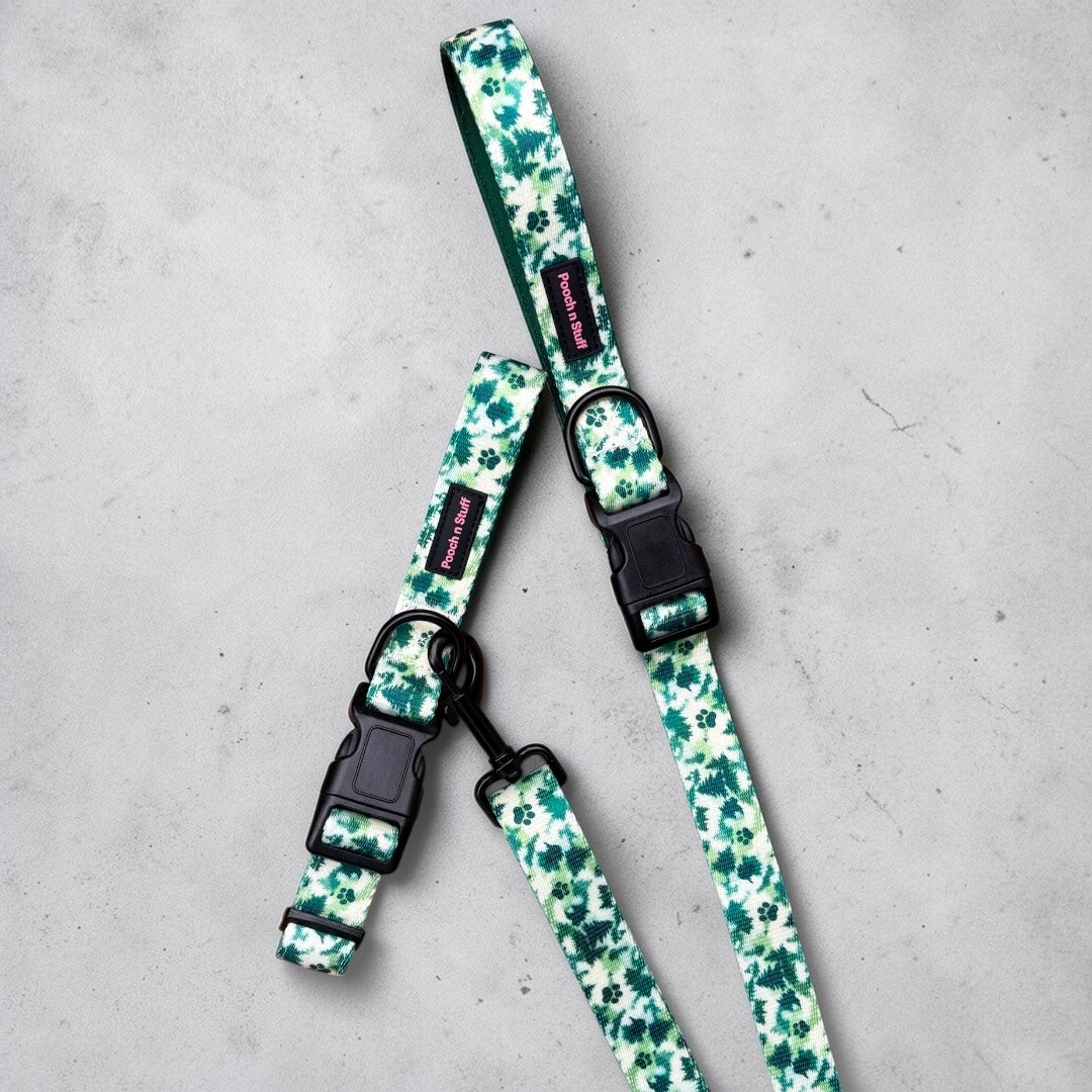 Forest Paws Signature Set 🌿🐾