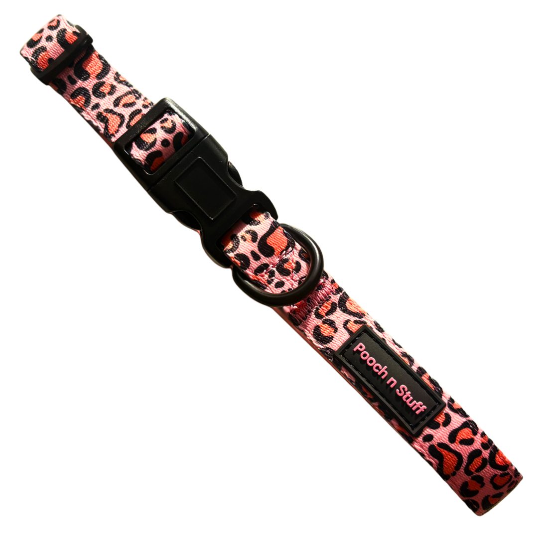 Stylish. Durable. Designed for everyday adventures