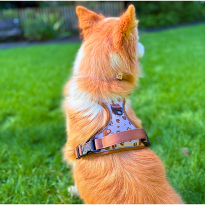 Savannah Harness