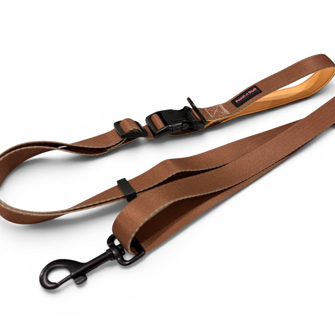 Versatile Adjustable Dog Lead
