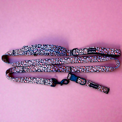 Traffic Lead & Collar