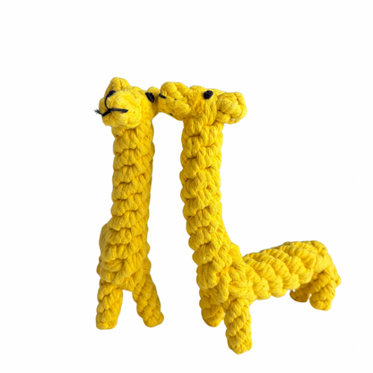 Enrichment Toy Bundle – 4 Toys for Daily Play