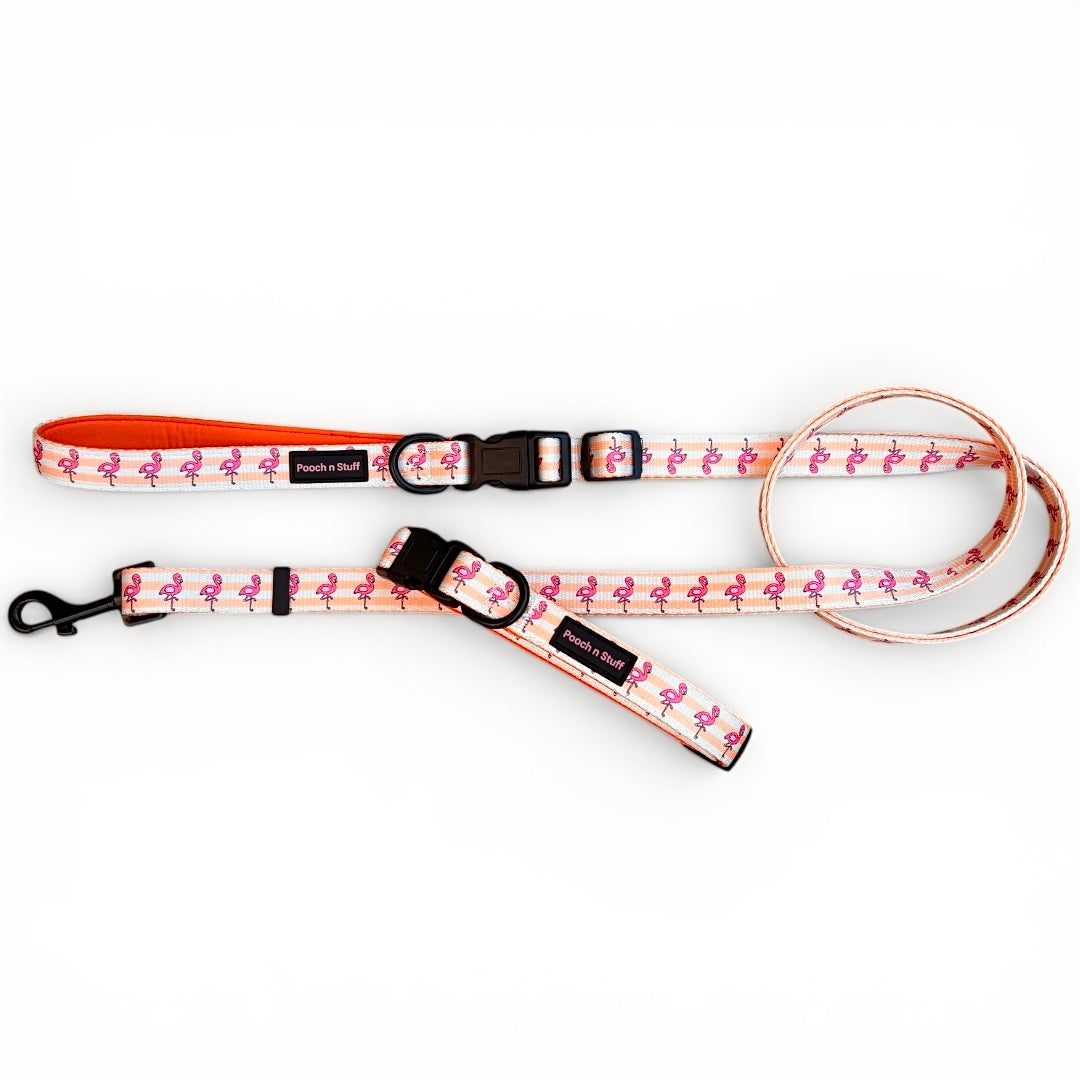 Multifunctional Lead & Collar Bundle