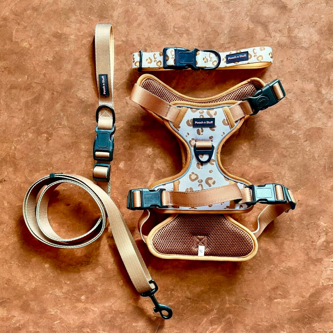Savannah Dog Walking Set