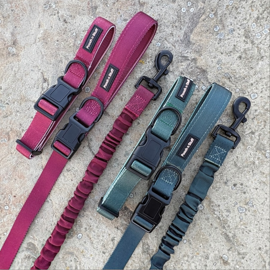 Bungee Dog Lead & Collar Set