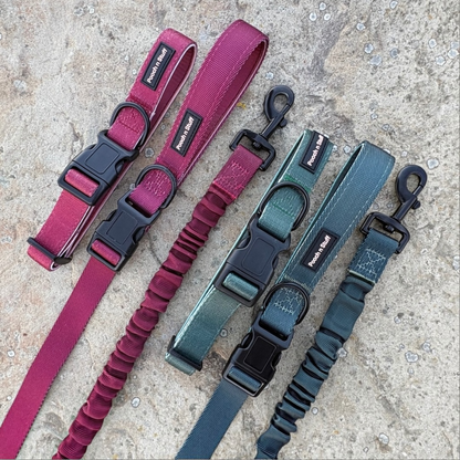 Bungee Dog Lead & Collar Set