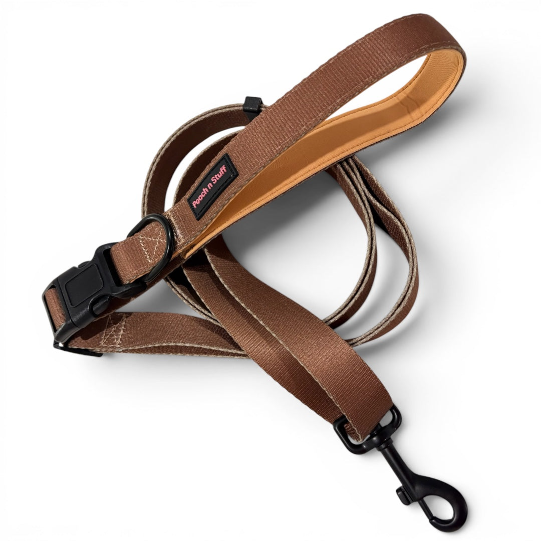 Versatile Adjustable Dog Lead