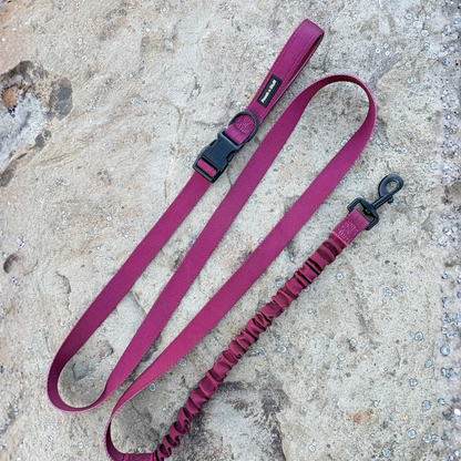 Bungee Dog Lead