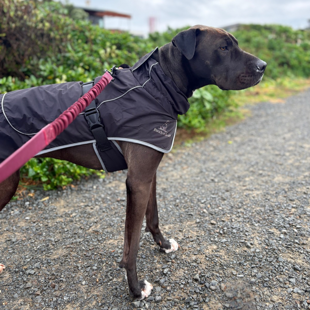 Waterproof Dog Rain Jacket