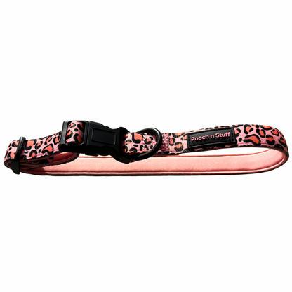 Stylish. Durable. Designed for everyday adventures