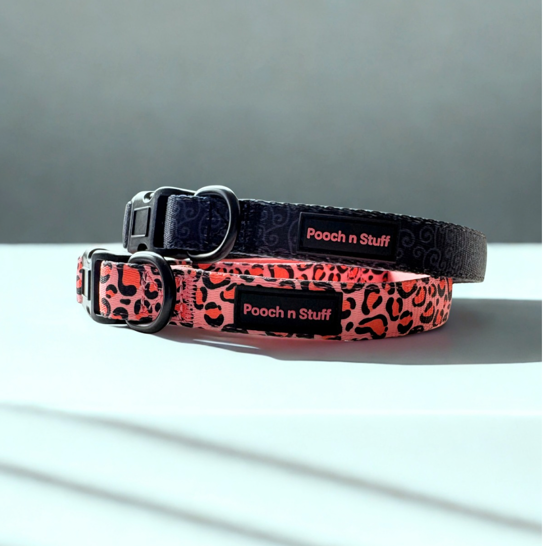 Stylish. Durable. Designed for everyday adventures