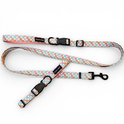 Multifunctional Lead & Collar Bundle