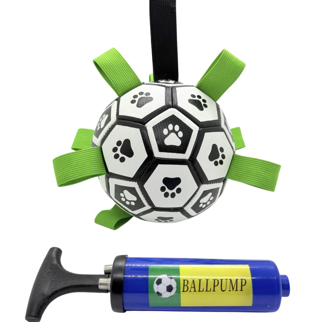 Enrichment Toy Bundle – 4 Toys for Daily Play