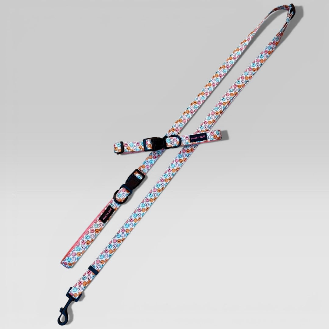 Multifunctional Lead & Collar Bundle