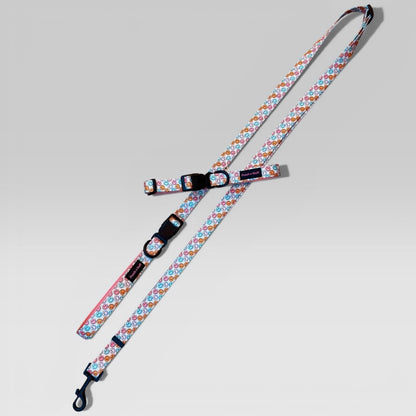 Multifunctional Lead & Collar Bundle