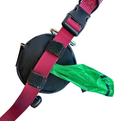 Walk & Go Bag