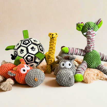 Enrichment Toy Bundle – 4 Toys for Daily Play