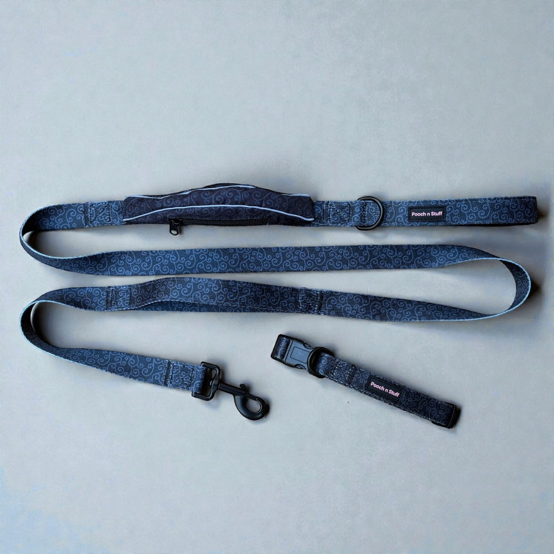 Traffic Lead & Collar