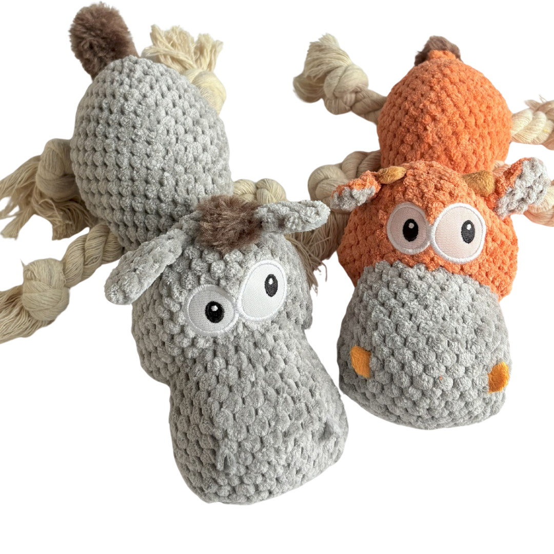 Enrichment Toy Bundle – 4 Toys for Daily Play