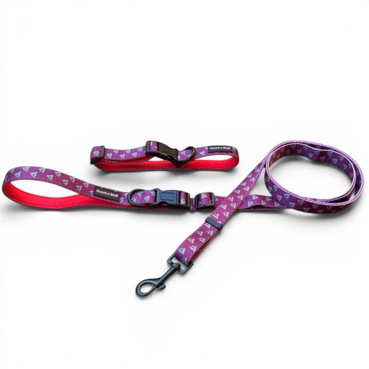 Multifunctional Lead & Collar Bundle