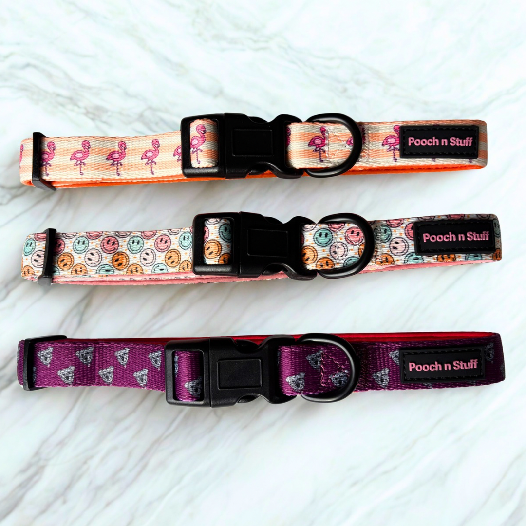 Adjustable Dog Collars – Comfortable, Durable & Stylish