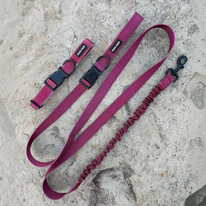 Bungee Dog Lead & Collar Set