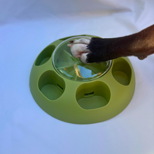 Paw-Activated Treat Puzzle 🐾