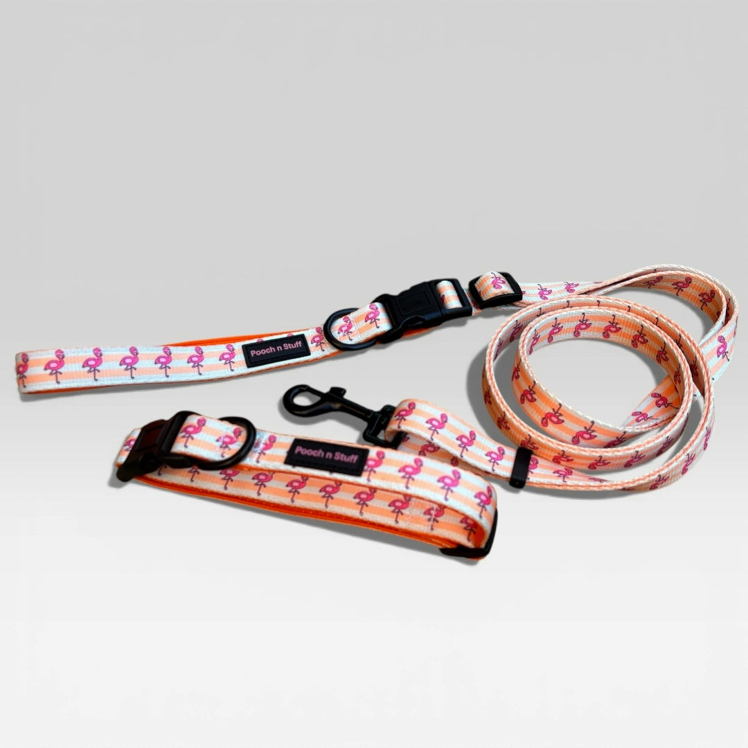 Multifunctional Lead & Collar Bundle