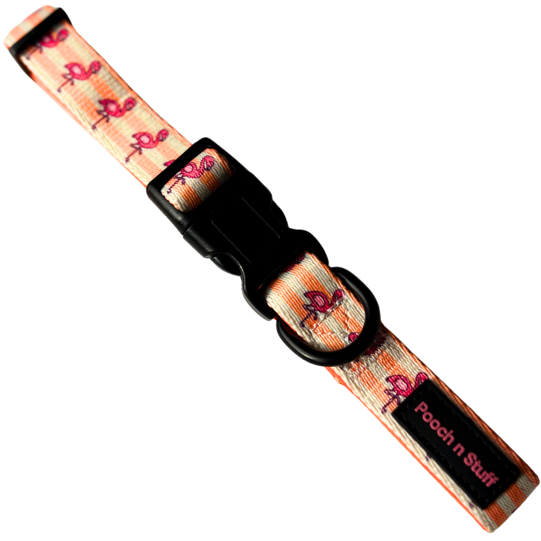 Adjustable Dog Collars – Comfortable, Durable & Stylish