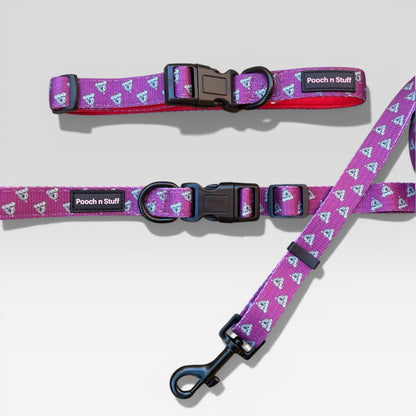 Multifunctional Lead & Collar Bundle