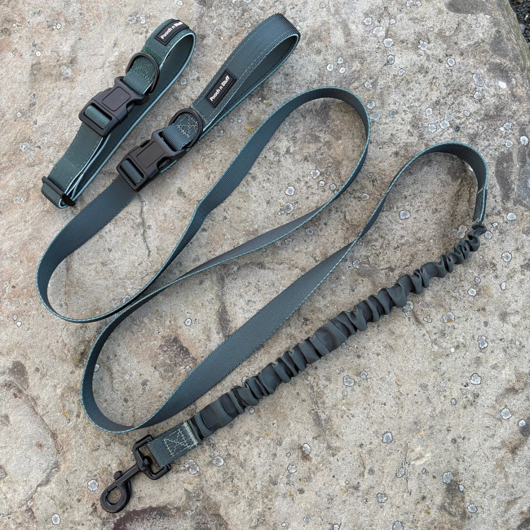 Bungee Dog Lead & Collar Set