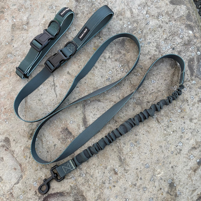 Bungee Dog Lead & Collar Set