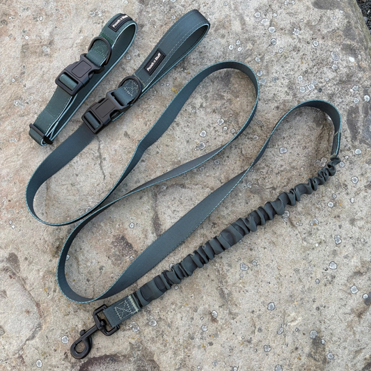 Bungee Dog Lead & Collar Set
