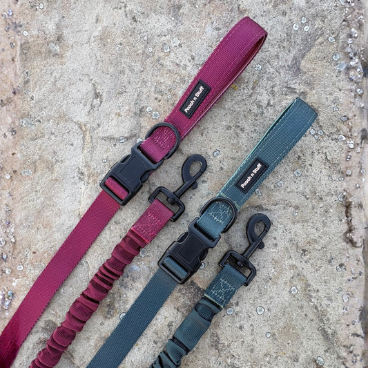 Bungee Dog Lead