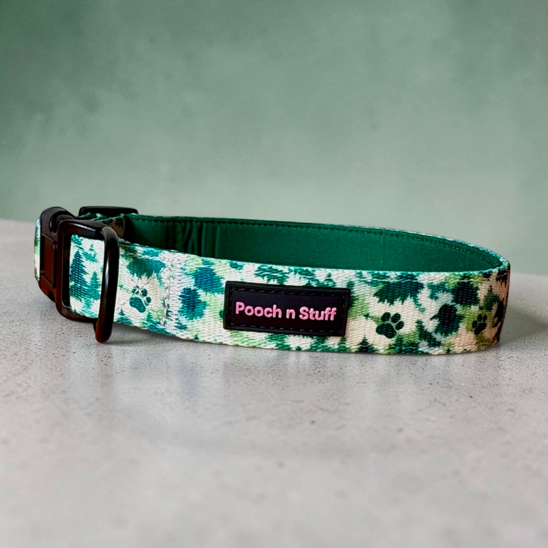 Forest Paws Signature Set 🌿🐾