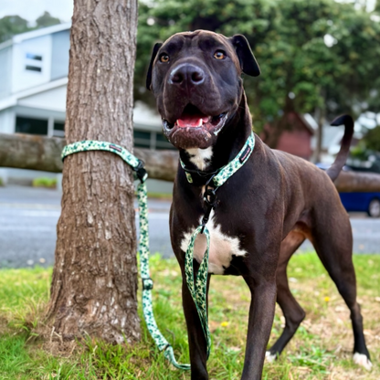 Forest Green All-in-One Dog Leash