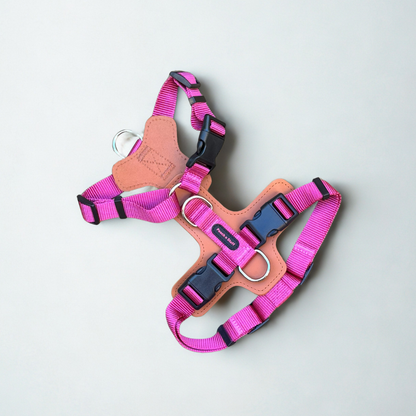 Premium Adjustable Dog Harness – Leather & Nylon Comfort Design