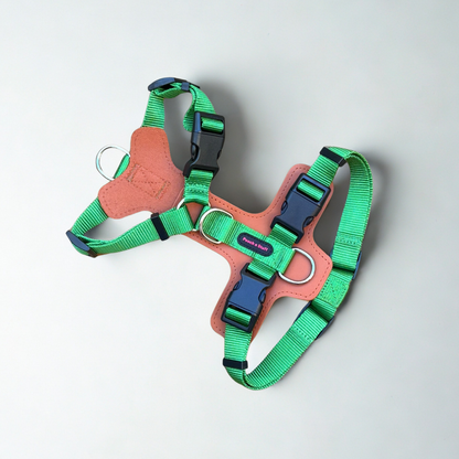 Premium Adjustable Dog Harness – Leather & Nylon Comfort Design