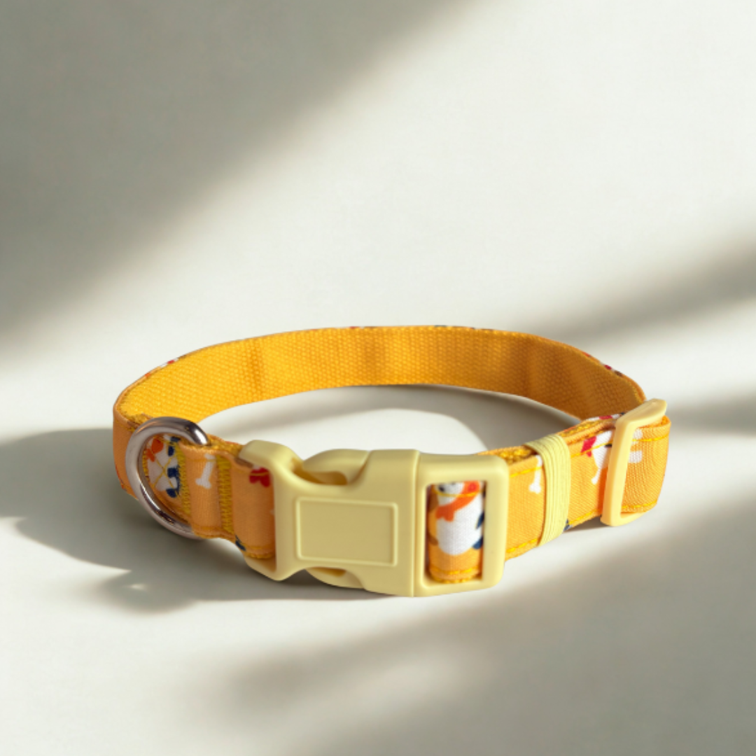 Dog Print Collar – Lightweight, Durable, Nylon