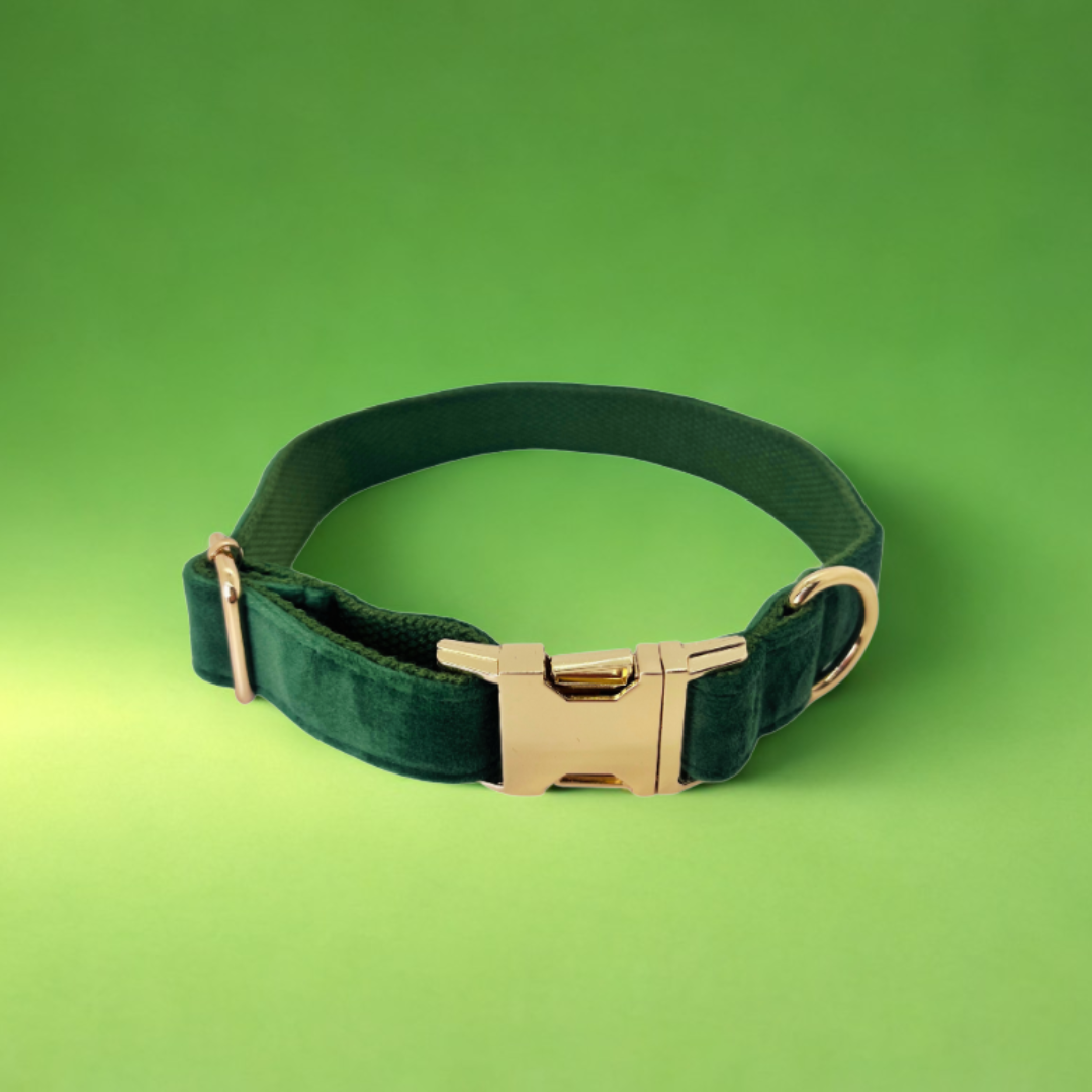 Where elegance meets comfort — in every collar