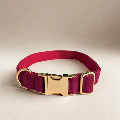 Where elegance meets comfort — in every collar