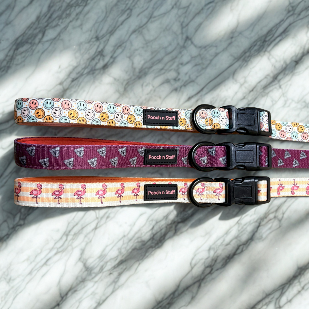 Dog Leash – Multifunctional & Fun