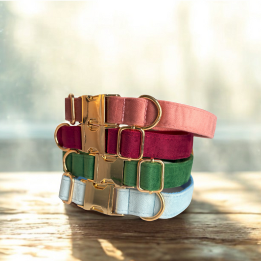 Where elegance meets comfort — in every collar