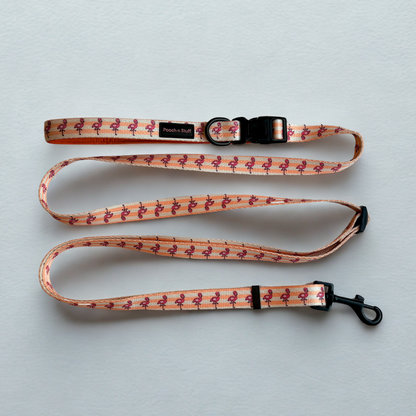 Dog Leash – Multifunctional & Fun