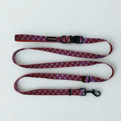 Dog Leash – Multifunctional & Fun