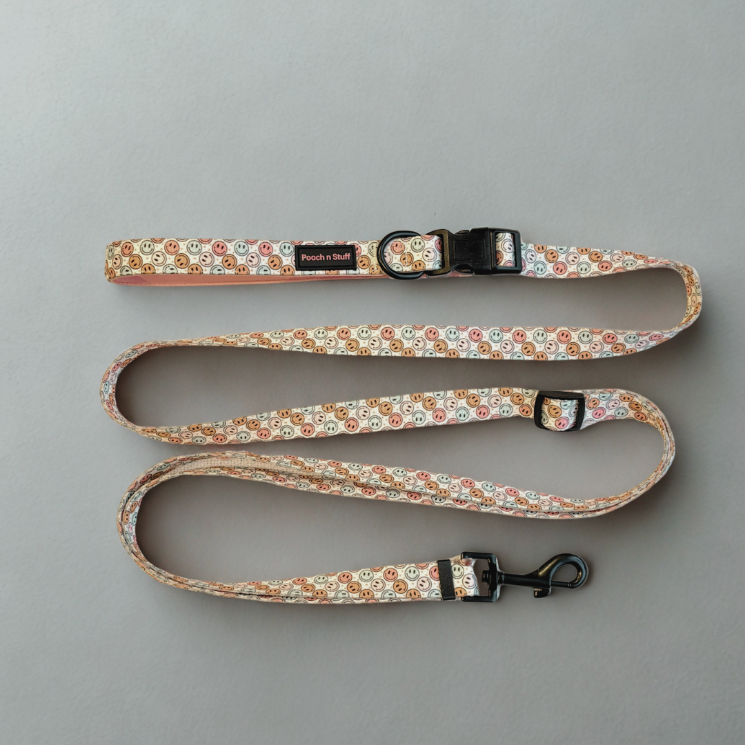 Dog Leash – Multifunctional & Fun