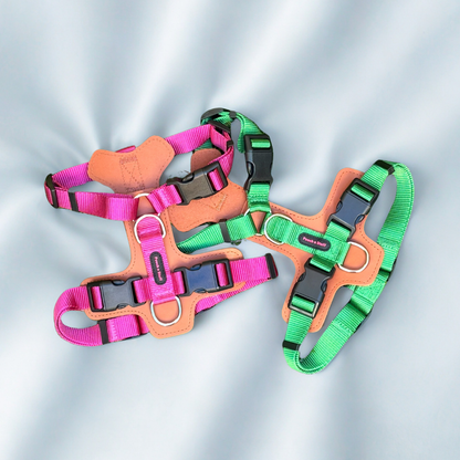 Premium Adjustable Dog Harness – Leather & Nylon Comfort Design